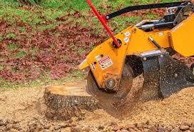 Best Lawn Edging  in Burley, WA